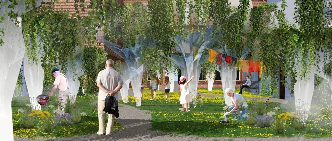 A bit of Japan in Poznań. A project to green and revitalize Poznań backyards