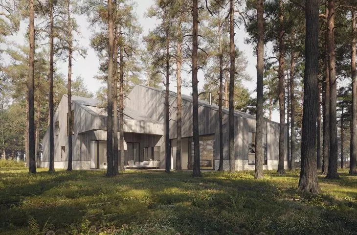In a forest scenery. Single-family house in Sekocin of the project of the 89° studio.