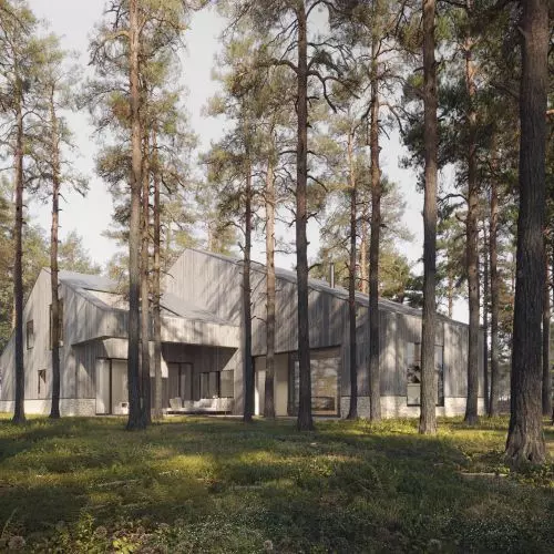 In a forest scenery. Single-family house in Sekocin of the project of the 89° studio.