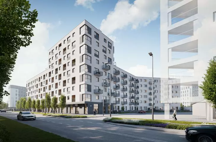 Developer Modernism