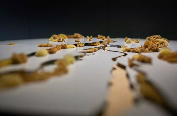 Hidden rivers of Warsaw on display at the Wola Museum
