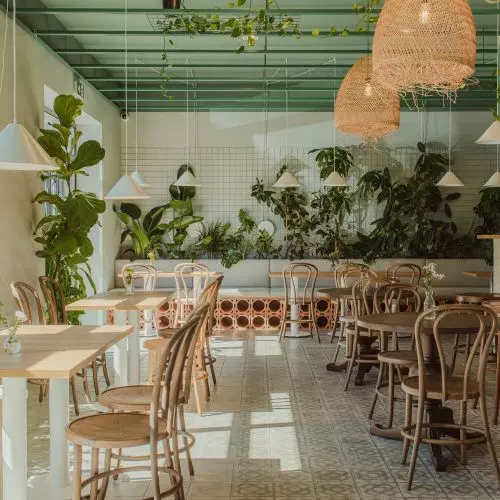 Królestwo roślin. Bistro Zagajnik w Radomsku