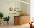Asteria Micro nuance olive