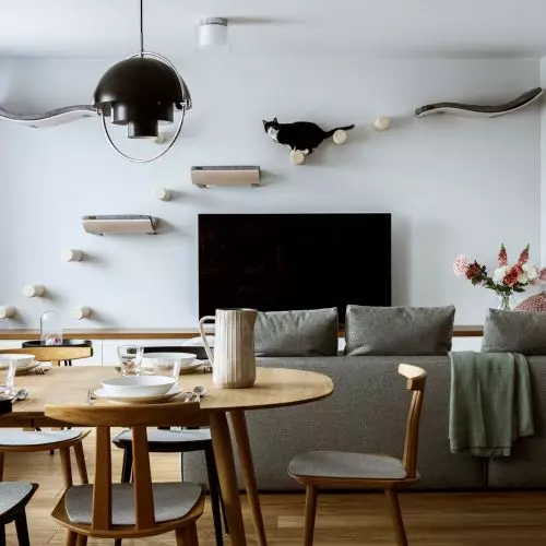Cat, sauna and rustic elements - a unique interior with an eclectic character