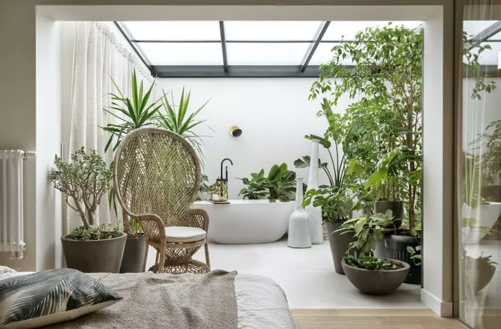 How to organize an orangery? An interesting example from Warsaw