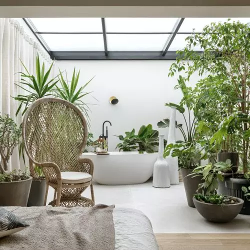 How to organize an orangery? An interesting example from Warsaw