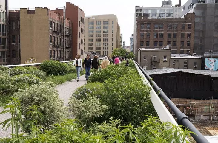 Linear parks - urban revolution or greenwashing? Interview with Kinga Kimic