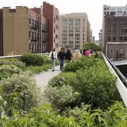 High Line Park w Nowym Jorku