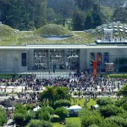 „Zielony” projekt czy „dobry” projekt? — Renzo Piano Building Workshop, California Academy of Sciences, San Francisco, California