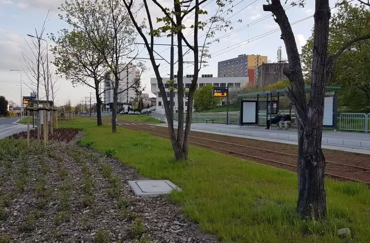 Siedem przystanków do normalności – nowa trasa tramwajowa w Poznaniu otwarta