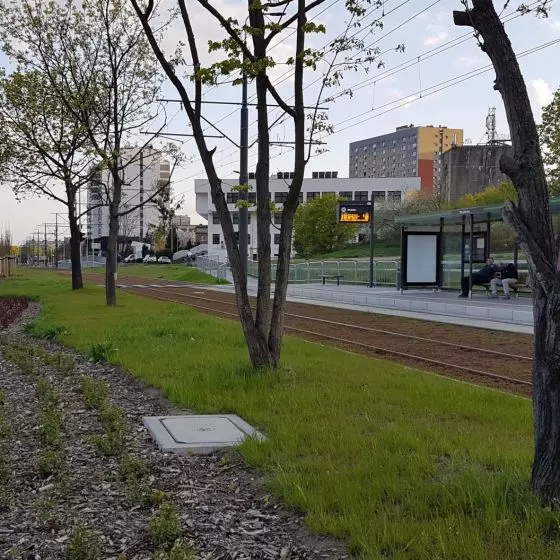 Trasa tramwajowa na Naramowice - Poznań