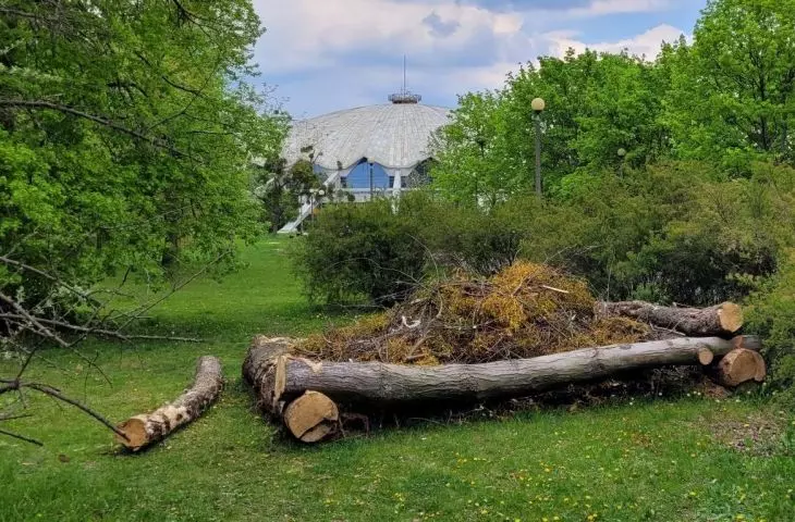 Naturalne podejście do parków – próchnowiska!