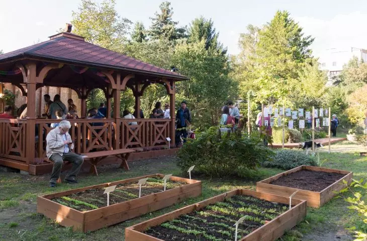 Forward plots, or sustainable design in the bush