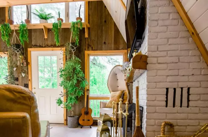 Powrót do korzeni – biophilic design