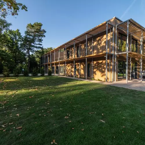 Z drzewem pośrodku atrium. Projekt przedszkola Bjerg Arkitektur
