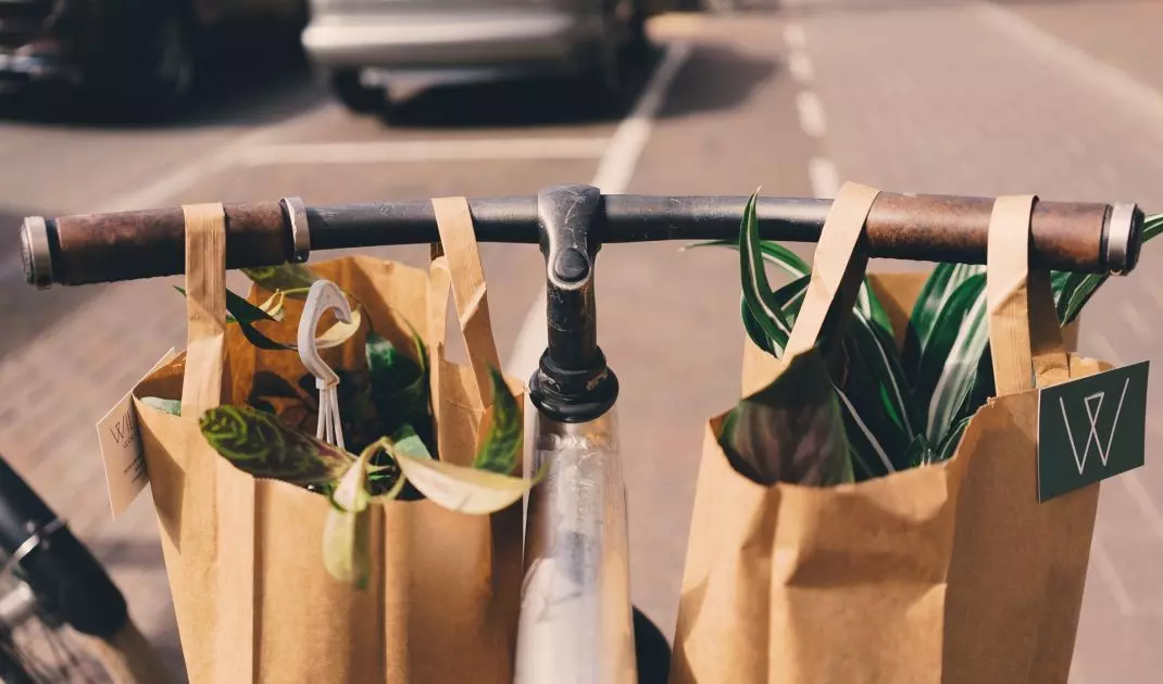 Transportation of plants