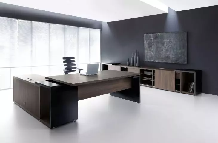 Mito Fenix desk with height adjustment