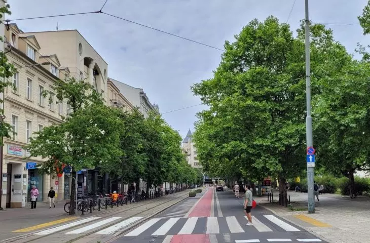Leszczyny muszą zniknąć? Pozorne konsultacje w Poznaniu