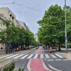 Ulica 27 Grudnia w Poznaniu. Po lewej: leszczyny, które mają zostać usunięte. Po prawej: platany, których korony kolidują z przesuniętą trasą tramwaju.