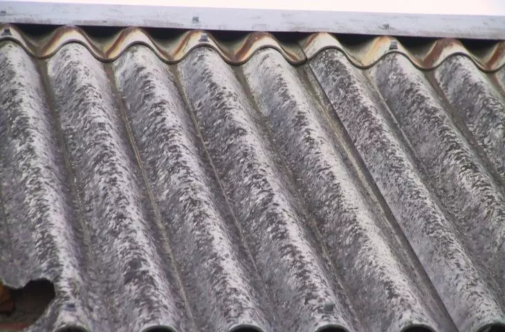 Artificial intelligence on the trail of asbestos