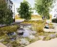 Rain garden project