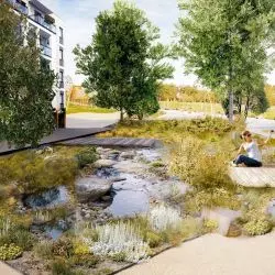 Projekt ogrodu deszczowego