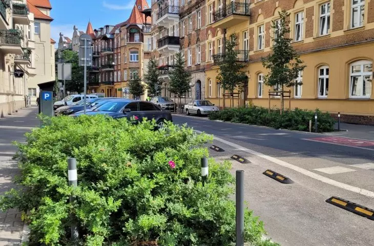 Zieleń zamiast bruku - częściej, ale niekonsekwentnie