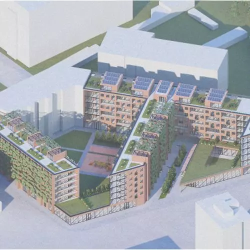 Zielony habitat we Wrocławiu. Studencki projekt przyjaznego osiedla