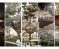 Nagroda Główna, proj.: „Lanterns in the woods”