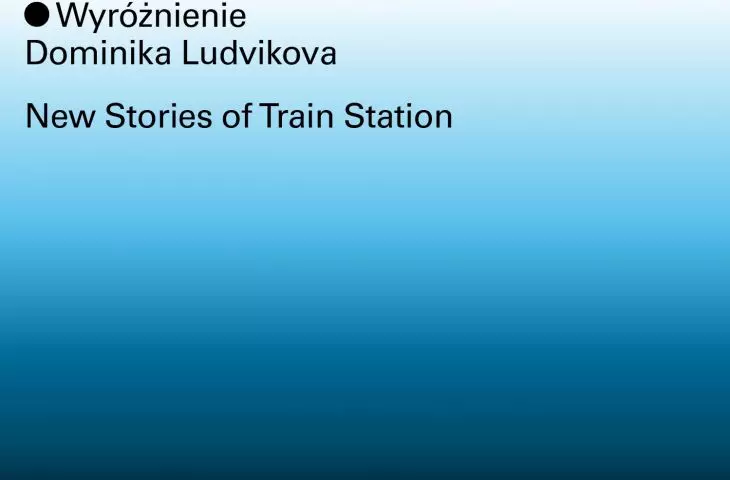 Wyróżnienie (ex aequo), kategoria teoretyczna