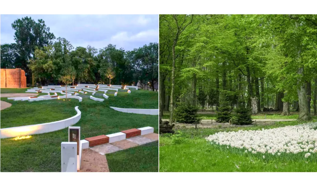 Rewaloryzacja parku Radolińskich wraz z zielonym amfiteatrem w Jarocinie