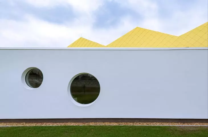 Can a crocodile be yellow? XYstudio project kindergarten