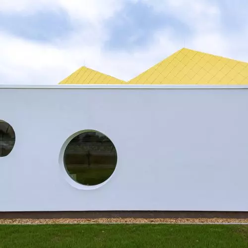 Can a crocodile be yellow? XYstudio project kindergarten