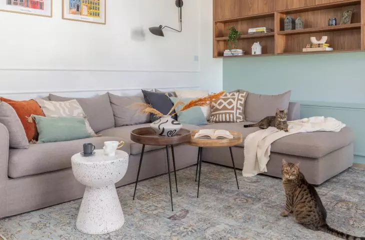 Interior for cat lovers