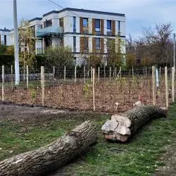 Nowy las kieszonkowy nad Wartą w Poznaniu, róg ulic Bielniki i Piastowskiej