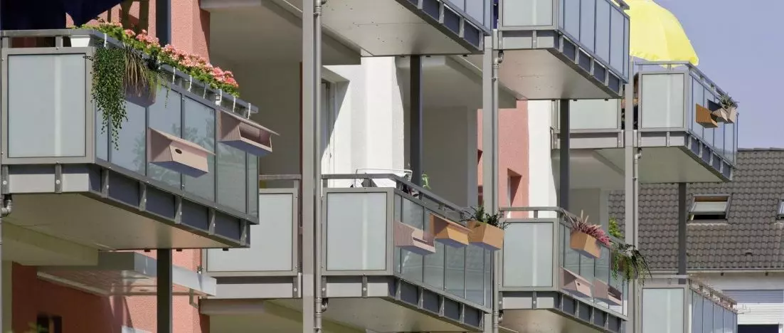 Moduły dla ptaków i owadów. Projekt dbający o naturę w mieście