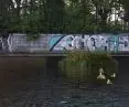 Kwapromek to sztuczna wyspa dla ptactwa wodnego