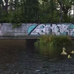 Kwapromek to sztuczna wyspa dla ptactwa wodnego