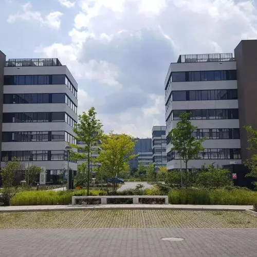 Dachy Zielone Sopranature® w czołówce dostępnych na rynku systemów dachów zielonych