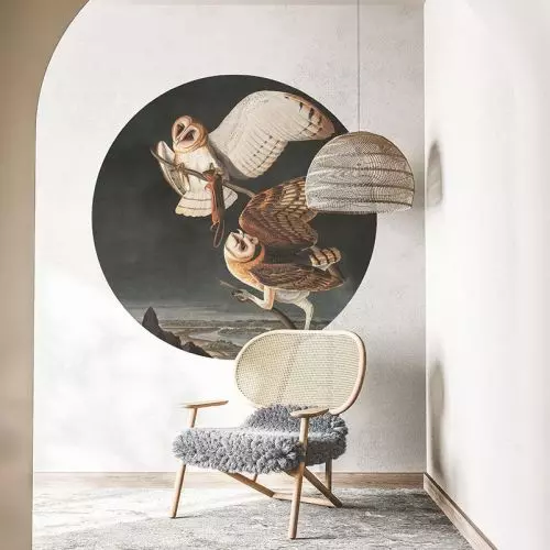 Wallcolors Wallpapers - unique wallpapers and wall murals.