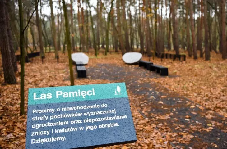 Kameralna recepta na cmentarny chaos i ciasnotę. „Las pamięci” – bez krzyży, nagrobków i strat miejsca