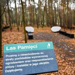 Las pamięci, cmentarz komunalny na Junikowie w Poznaniu