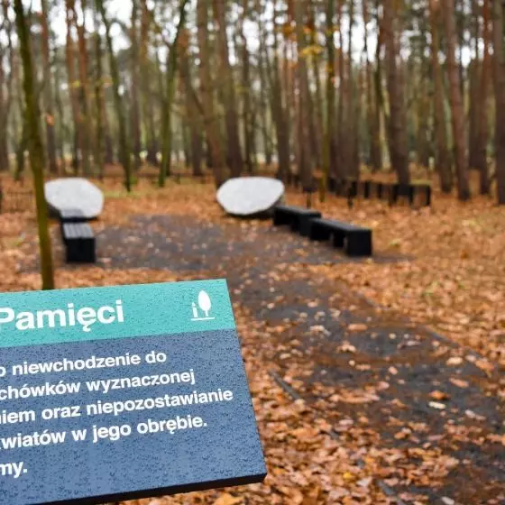 Las pamięci, cmentarz komunalny na Junikowie w Poznaniu
