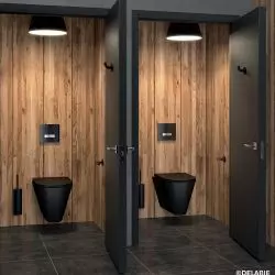 WC S21 S BLACK, zawór spłukujący TEMPOFLUX 3 i czarne akcesoria ©DELABIE