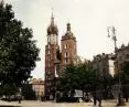 Drzewa mają wrócić na płytę rynku!