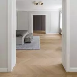 Chevron / Dąb Europejski