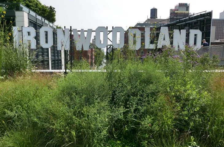 instalacja artystyczna „Ironwoodland”, The High Line