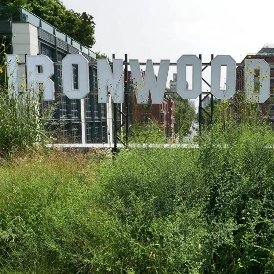 instalacja artystyczna „Ironwoodland”, The High Line