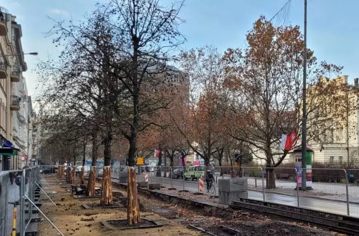 Nie wycinać leszczyn! RDOŚ staje w obronie przyrody i krzyżuje szyki władzom