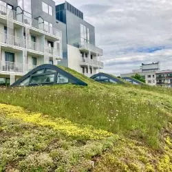 Dach zielony na hotelu Radisson Blu w Sopocie